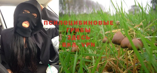 прущая мука Пересвет