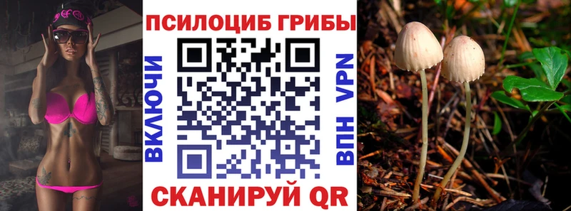 Псилоцибиновые грибы Magic Shrooms  Славск 