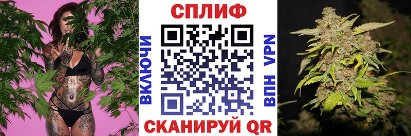 купить наркотик  Славск  МАРИХУАНА LSD WEED 